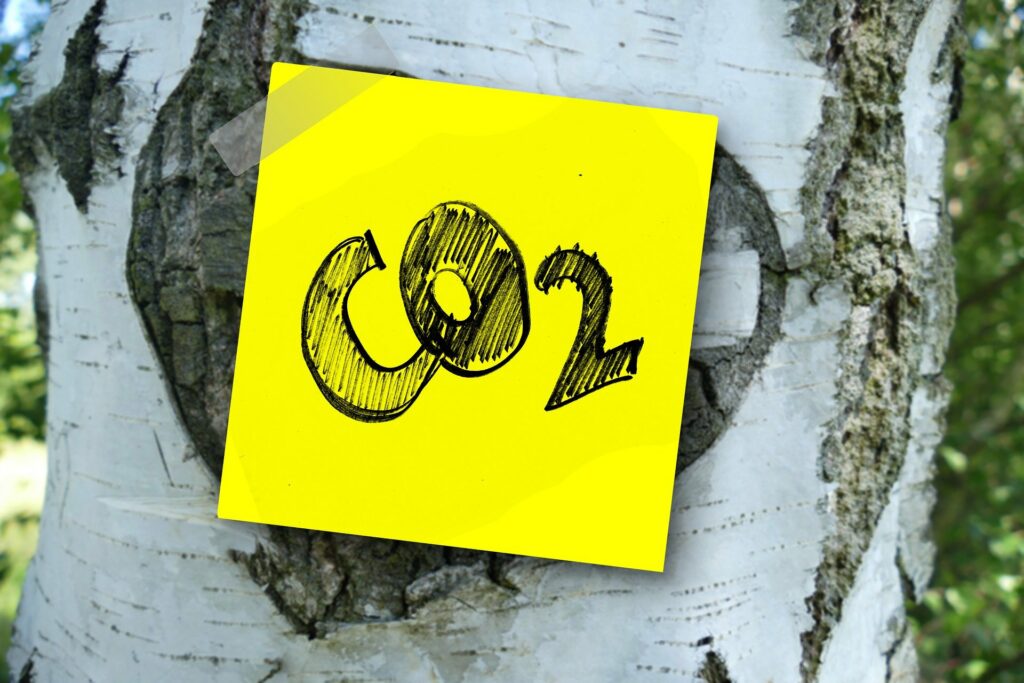Post-It mit CO2-Text auf Birkenstamm (Gerd Altmann auf Pixabay)