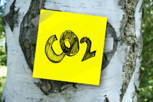 Post-It mit CO2-Text auf Birkenstamm (Gerd Altmann auf Pixabay)
